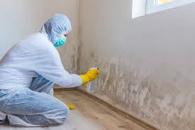 Professional Mold Prevention & Removal  in Zolfo Springs, FL