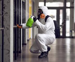 Best Commercial Mold Inspection  in Zolfo Springs, FL